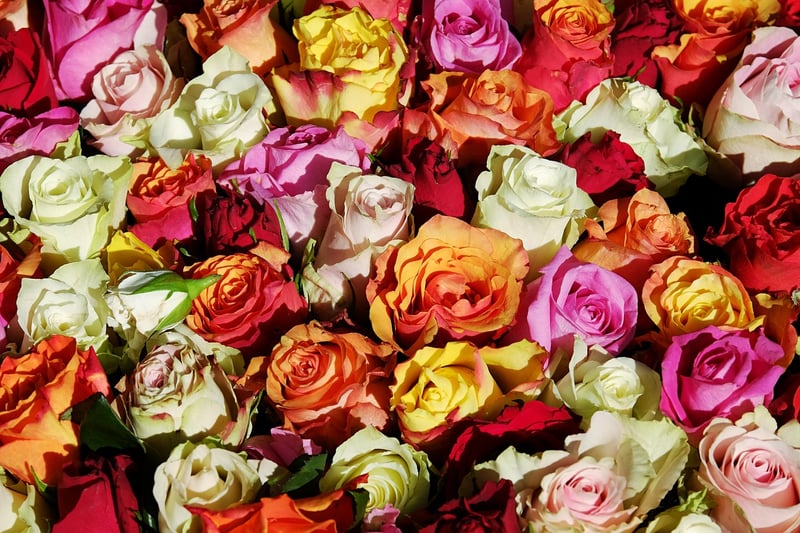 Floral Patterns