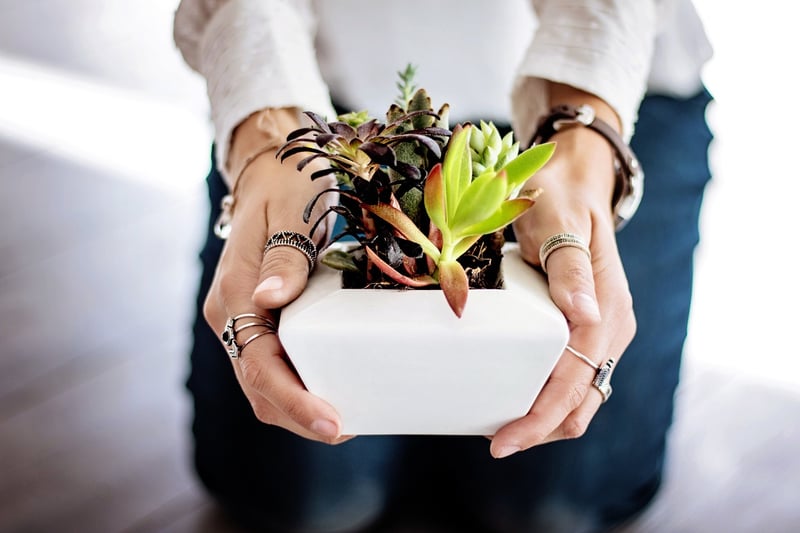 Planters and Pots